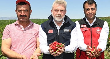 Başkan Görgel: Maraş Biberi Hasadının Bereketli Olmasını Diliyorum