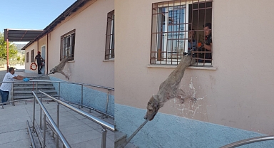 Kahramanmaraş'ta Pencere Korkuluğuna Sıkışan Köpek İtfaiye Ekiplerince Kurtarıldı