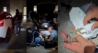 Kahramanmaraş'ta Tarihi Eser Kaçakçılığı Operasyonu