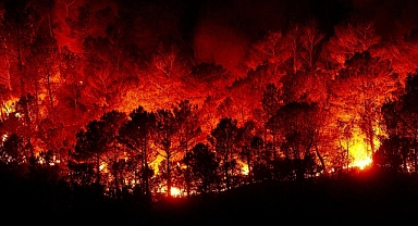 Kahramanmaraş yangınlarda ilk 5’e girdi!