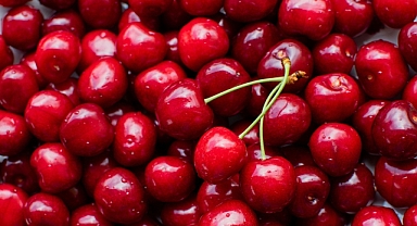 Türkiye’nin Kiraz İhracatında Büyük Başarı: 209 Milyon Doları Aştı