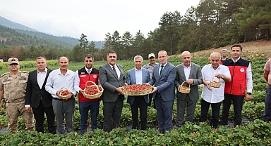 Kahramanmaraş’ta Çilek Üretimi İhracata Açılıyor: Soğuk Hava Deposu Faaliyete Girdi