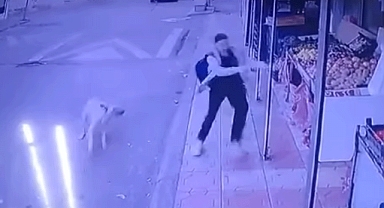 Kahramanmaraş'ta Köpek Sürüsünün Kovaladığı Öğrenci Ölümden Döndü