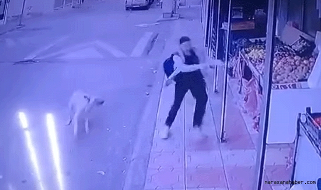 Kahramanmaraş'ta Köpek Sürüsünün Kovaladığı Öğrenci Ölümden Döndü