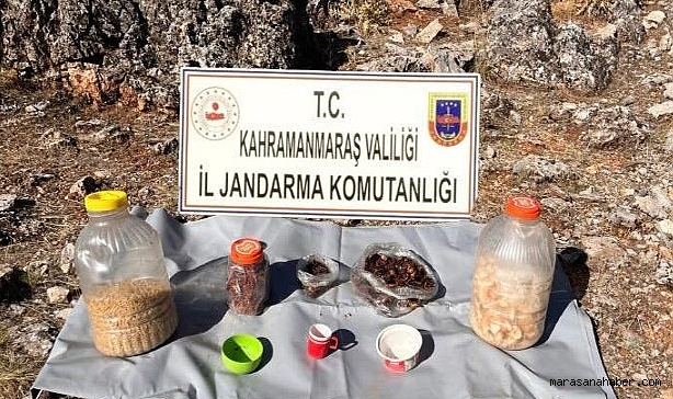 Kahramanmaraş’ta PKK’ya darbe!