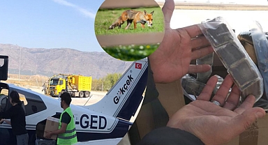 Kuduzla mücadelede havadan çözüm!