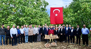 Onikişubat’ta Bereketli Hasat: Maraş-18 Cevizi Şenlikle Toplandı