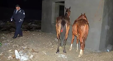 Gıda vurguncularının en çok at ve eşek eti yedirdiği iller belli oldu!