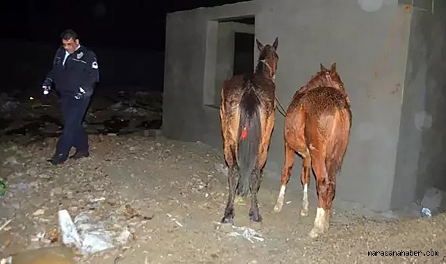 Gıda vurguncularının en çok at ve eşek eti yedirdiği iller belli oldu!