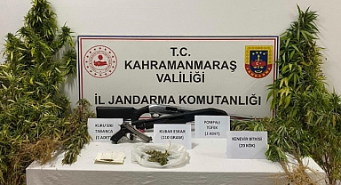 Kahramanmaraş’ta Kenevir Operasyonu: Uyuşturucu ve Silah Yakalandı
