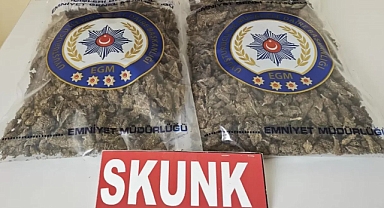 Kahramanmaraş’ta Narkotikten Skunk operasyonu!