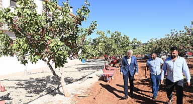 Pazarcık Fıstığı Tescil Yolunda: Başkan Görgel'den Müjde