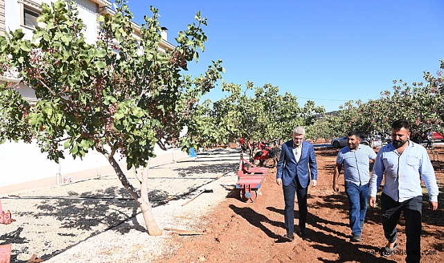 Pazarcık Fıstığı Tescil Yolunda: Başkan Görgel'den Müjde
