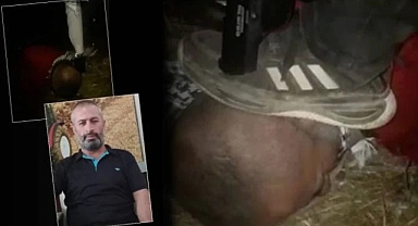 Suriyeliler Gaziantep'te Türk esnafı kaçırdı! İşkence edip o anları videoya aldılar