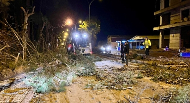 Fırtına Kahramanmaraş’ta 700’ün üzerinde yıkıma yol açtı!