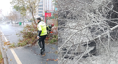 Kahramanmaraş'ta Şiddetli Rüzgar ve Kar yağışı ağaçları devirdi!