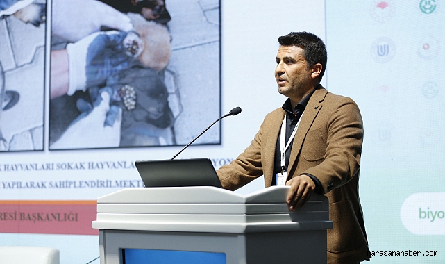 Kahramanmaraş’taki ilaçlama faaliyeti Uluslararası Kongrede beğeni topladı!