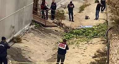 Serada halat koptu!2 ölü, 2 yaralı