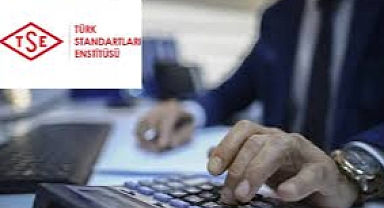 TSE 161 personel alacak!