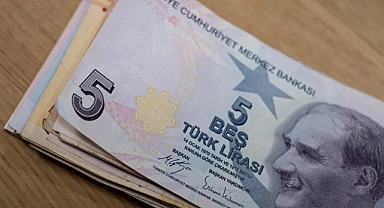 Yeni 5 ve 50 TL'lik banknotlar bugün tedavüle çıkıyor!