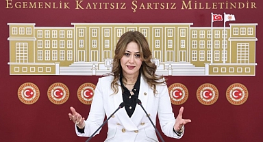 Zuhal Karakoç Dora:
