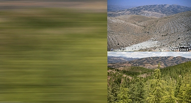Kahramanmaraş’ta fidanlardan ormana! 18 Yılın Doğal Mucizesi
