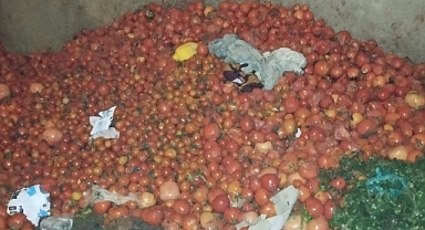 Kahramanmaraş'ta yüzlerce kilo domates sokağa döküldü!