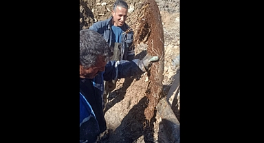 Kahramanmaraş’ta ağaç kökü su krizine neden oldu!