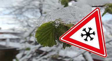 Kahramanmaraş’ta Zirai Don Tehlikesi Kapıda!