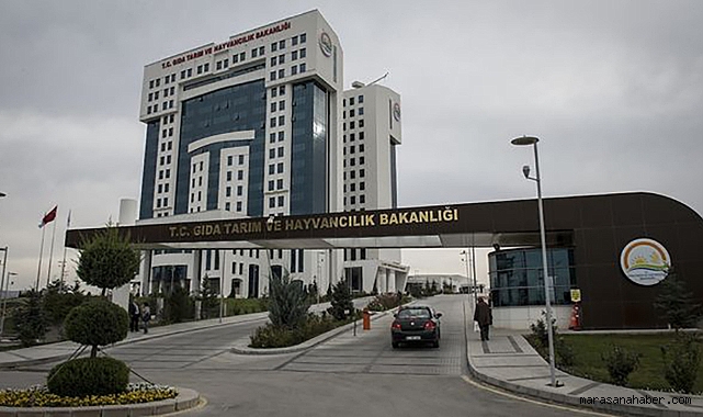 Tarım ve Orman Bakanlığı 8 Bin 500 Personel Alımı Yapacak! Başvuru Tarihleri ve Şartlar Belli Oldu mu?