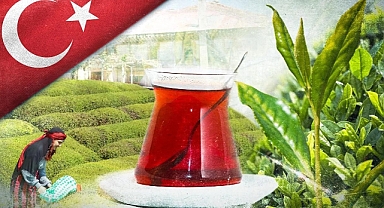 Türk çayı 1,2 milyon dolar kazandırdı!