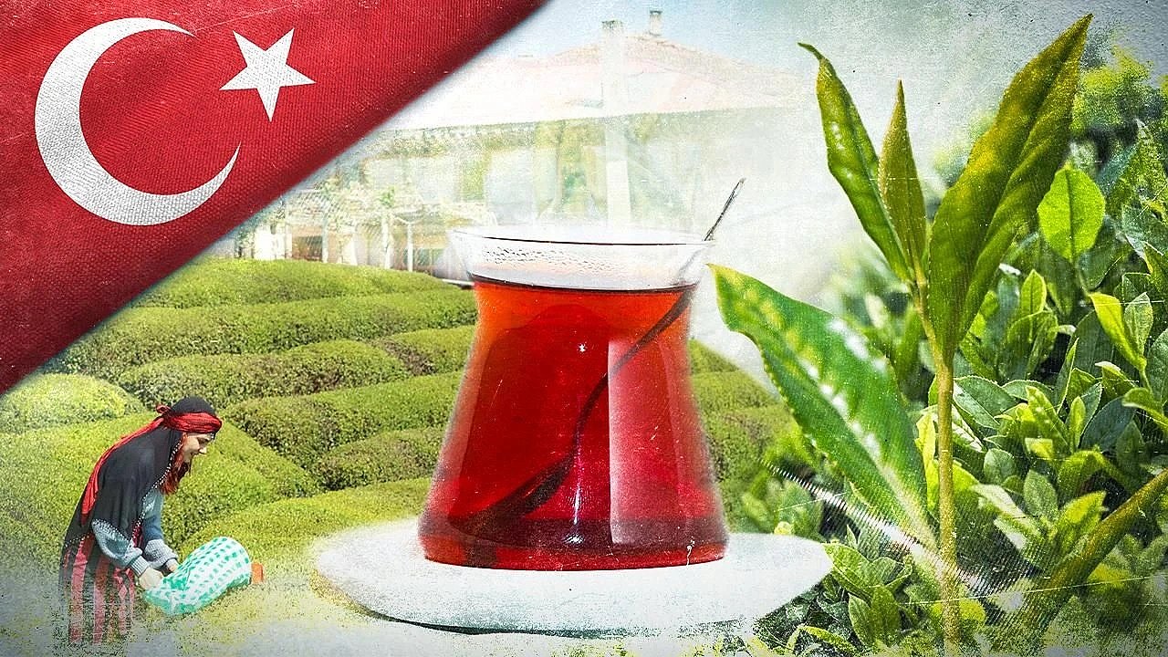 Türk çayı 1,2 milyon dolar kazandırdı!