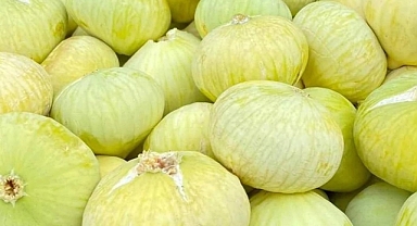 Abbas İnciri, Abbas İnciri Nerenin? Abbas İnciri Nerede Bulunur?