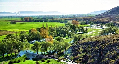 Afşin’in Doğal Bitki Örtüsü Özellikleri
