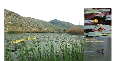 Bağlama Gölü Nerede?