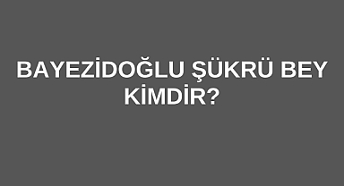 Bayezidoğlu Şükrü Bey Kimdir?