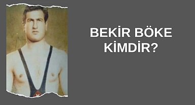 Bekir Böke Kimdir?