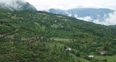 Bostanlı Mahallesi Nerede?