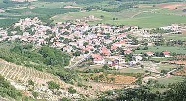 Bozlar Mahallesi Nerede?