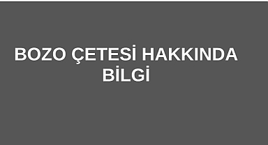 Bozo Çetesi Hakkında Bilgi