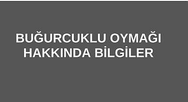 Buğurcuklu Oymağı Hakkında Bilgiler