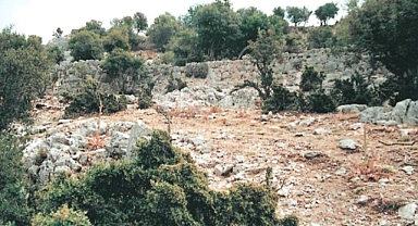 Burunönü (Çöğdür) Kalesi Nerede?