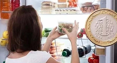 Buzdolabına 1 TL Koyun, Gıda Zehirlenmesini Önleyin!