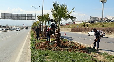 Kahramanmaraş’ta 2 bin ağaç toprakla buluştu!