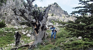 Kahramanmaraş'ta Ağıllı Yaylası nerede yer alıyor?