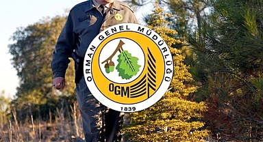 Orman Genel Müdürlüğü, 4500 Kişi Alacak: Kahramanmaraş’ta başvurular başladı
