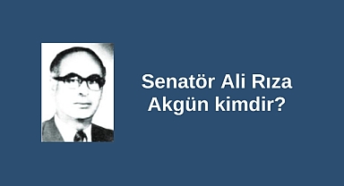 Senatör Ali Rıza Akgün kimdir?