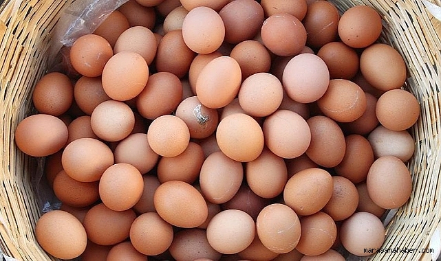 Avrupa’da kahverengi yumurta raftan iniyor!