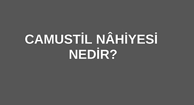 Camustil Nâhiyesi Nedir?
