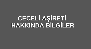 Ceceli Aşireti Hakkında Bilgiler